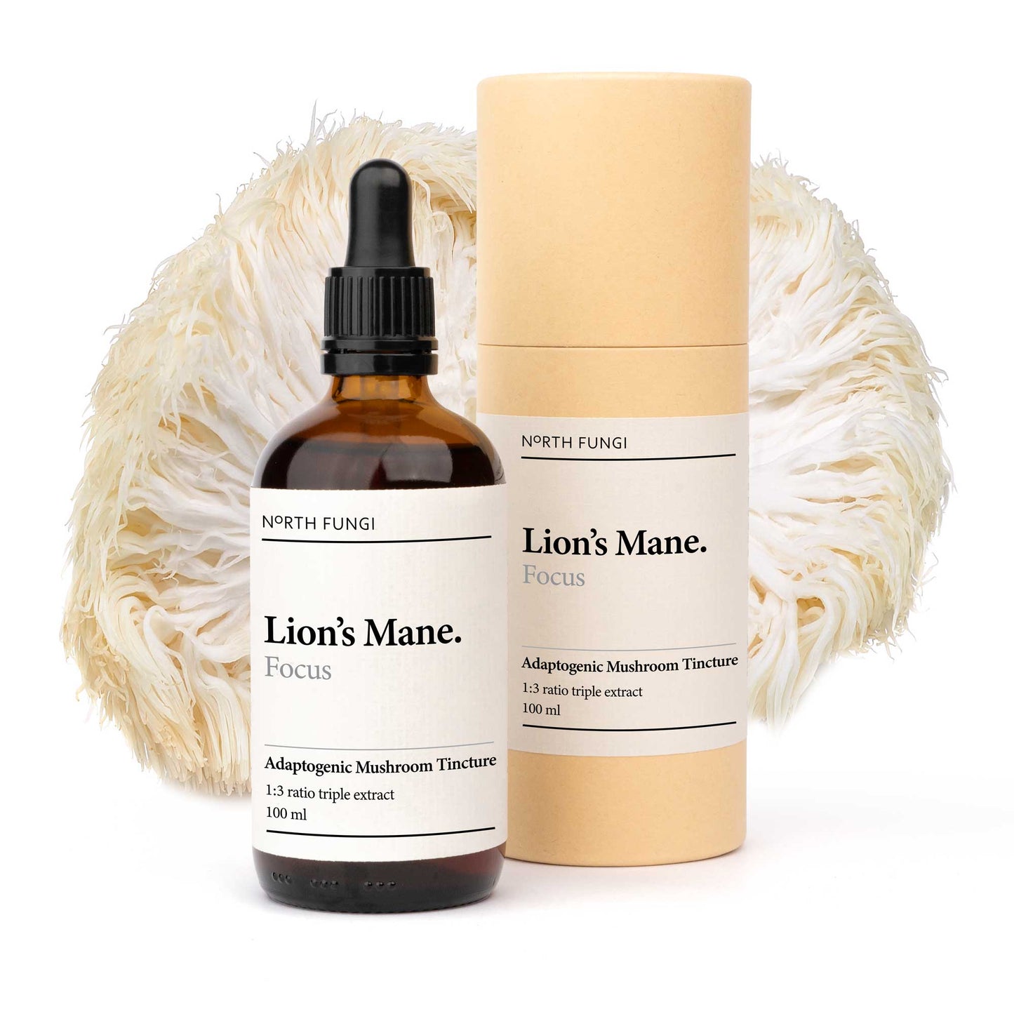 Lion's Mane Mushroom Tincture
