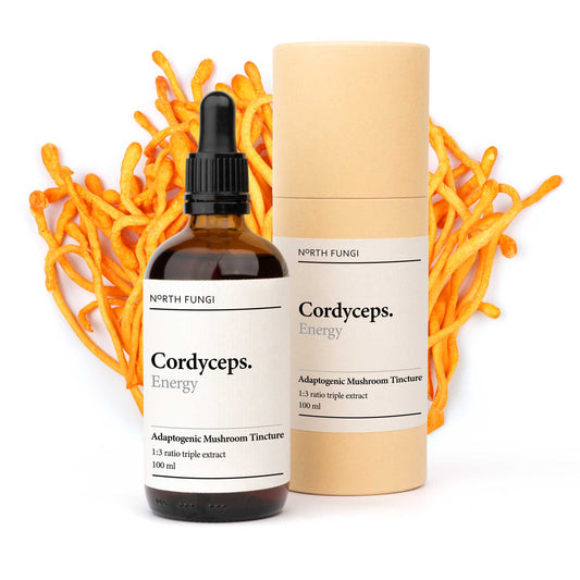 Cordyceps Mushroom Tincture 100ml