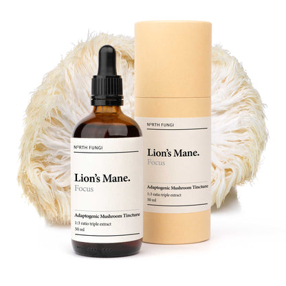 Lion's Mane Mushroom Tincture
