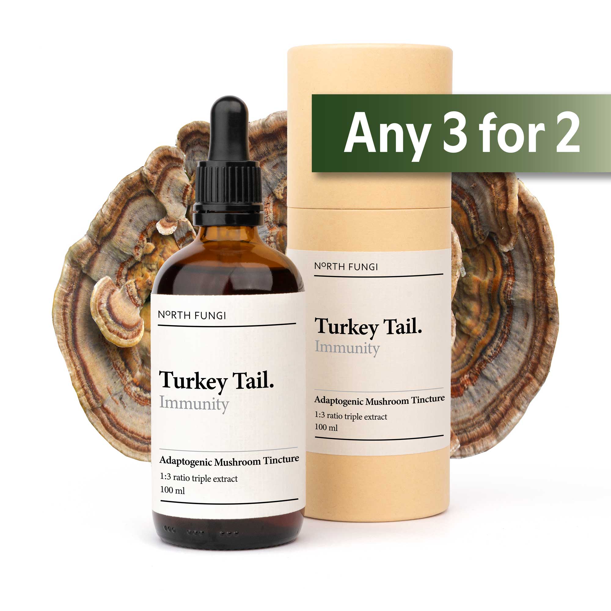 Turkey Tail Mushroom Tincture