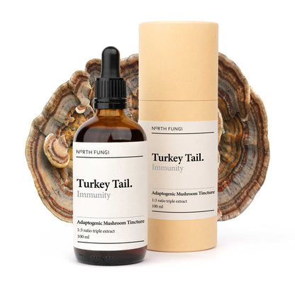 Turkey Tail Mushroom Tincture 100ml